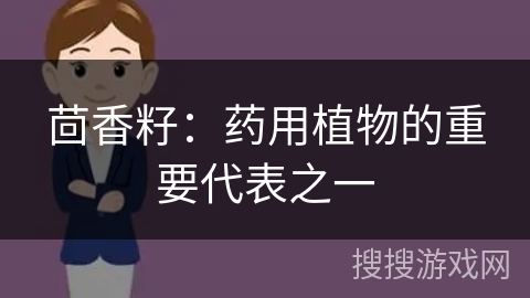 茴香籽：药用植物的重要代表之一