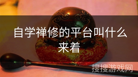 自学禅修的平台叫什么来着