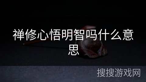 禅修心悟明智吗什么意思 禅修心悟明智吗什么意思