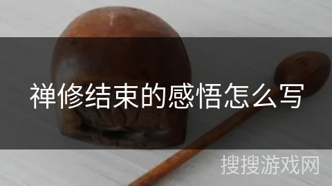 禅修结束的感悟怎么写