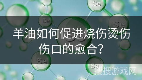羊油如何促进烧伤烫伤伤口的愈合？