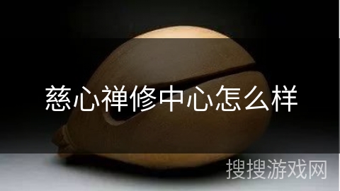 慈心禅修中心怎么样