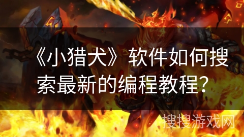 《小猎犬》软件如何搜索最新的编程教程? 《小猎犬》软件如何搜索最新的编程教程?