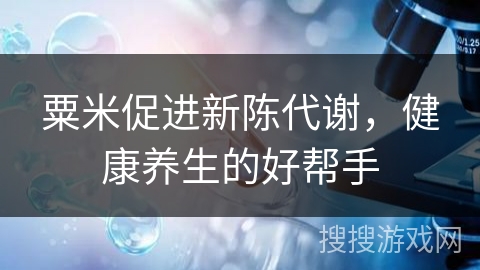 粟米促进新陈代谢，健康养生的好帮手