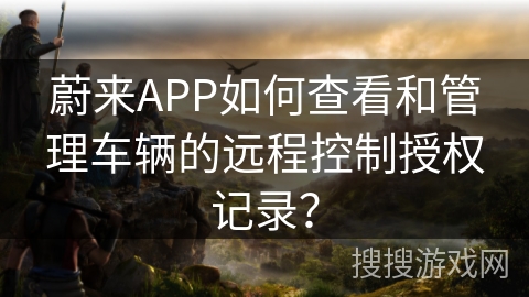 蔚来APP如何查看和管理车辆的远程控制授权记录？