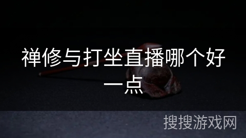 禅修与打坐直播哪个好一点