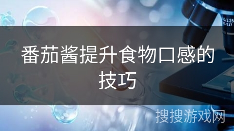 番茄酱提升食物口感的技巧