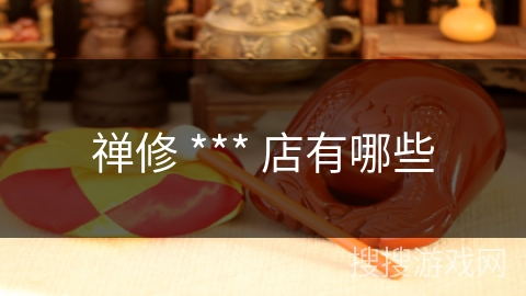 禅修 *** 店有哪些