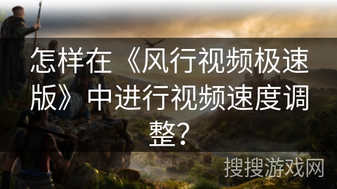 怎样在《风行视频极速版》中进行视频速度调整？