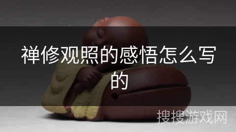 禅修观照的感悟怎么写的