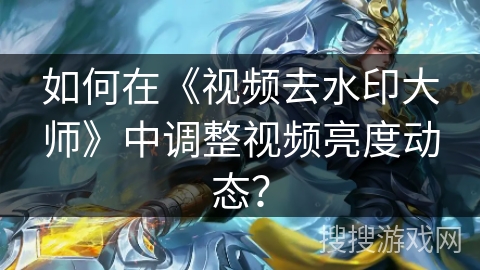 如何在《视频去水印大师》中调整视频亮度动态？