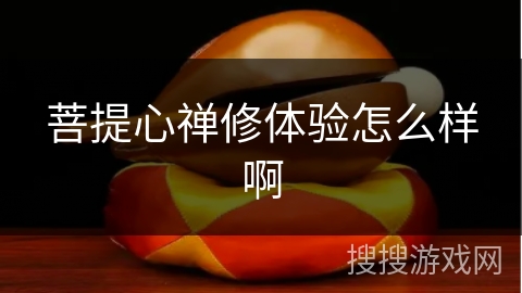 菩提心禅修体验怎么样啊