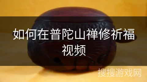 如何在普陀山禅修祈福视频 如何在普陀山禅修祈福视频