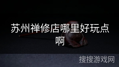 苏州禅修店哪里好玩点啊