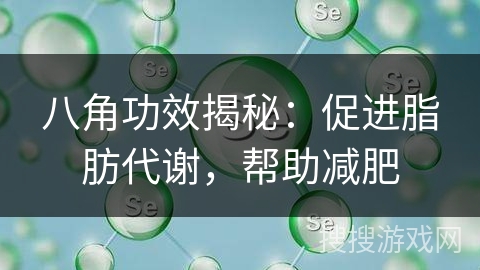 八角功效揭秘：促进脂肪代谢，帮助减肥