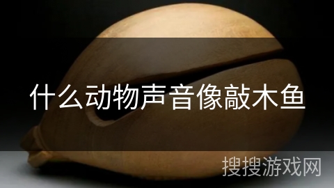 什么动物声音像敲木鱼 什么动物声音像敲木鱼