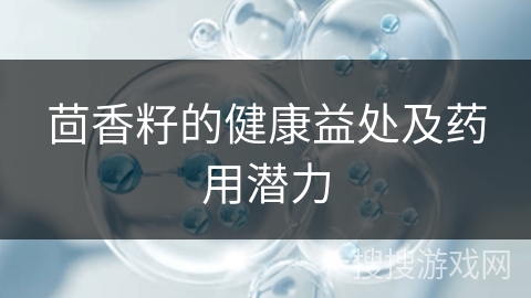 茴香籽的健康益处及药用潜力