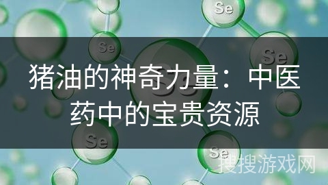 猪油的神奇力量：中医药中的宝贵资源