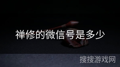 禅修的微信号是多少