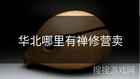 华北哪里有禅修营卖