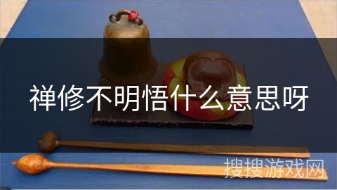 禅修不明悟什么意思呀