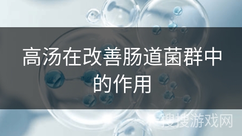 高汤在改善肠道菌群中的作用
