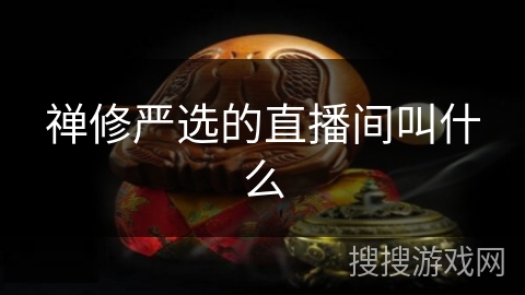 禅修严选的直播间叫什么