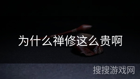 为什么禅修这么贵啊 为什么禅修这么贵啊