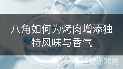 八角如何为烤肉增添独特风味与香气