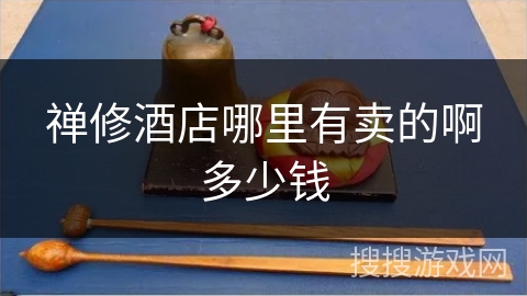 禅修酒店哪里有卖的啊多少钱