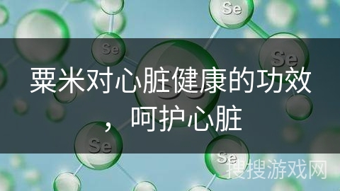 粟米对心脏健康的功效，呵护心脏