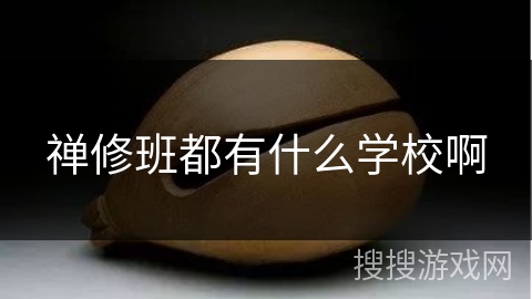 禅修班都有什么学校啊 禅修班都有什么学校啊