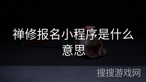 禅修报名小程序是什么意思