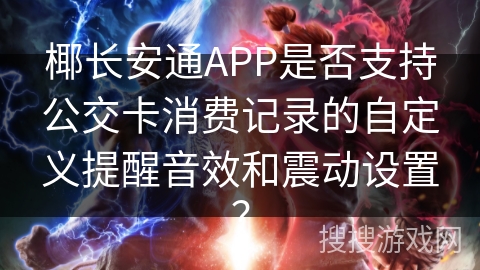 椰长安通APP是否支持公交卡消费记录的自定义提醒音效和震动设置？