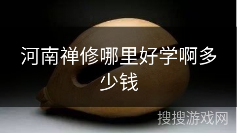 河南禅修哪里好学啊多少钱