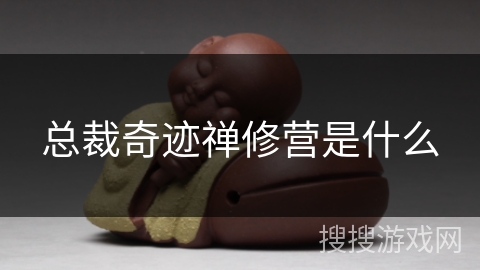 总裁奇迹禅修营是什么