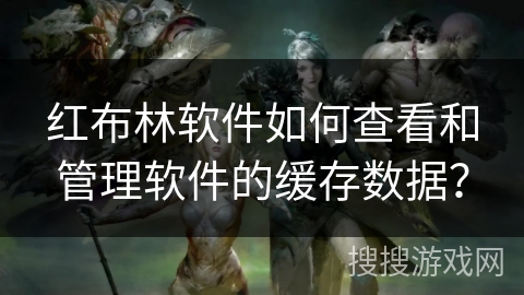红布林软件如何查看和管理软件的缓存数据? 红布林软件如何查看和管理软件的缓存数据?