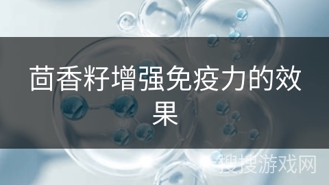 茴香籽增强免疫力的效果
