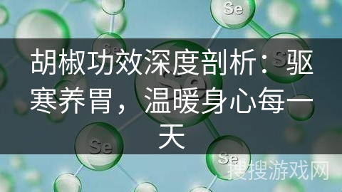 胡椒功效深度剖析：驱寒养胃，温暖身心每一天