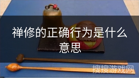 禅修的正确行为是什么意思
