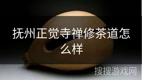 抚州正觉寺禅修茶道怎么样 抚州正觉寺禅修茶道怎么样