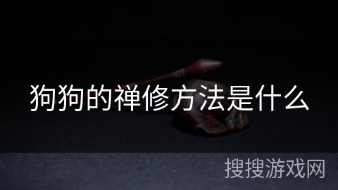 狗狗的禅修方法是什么