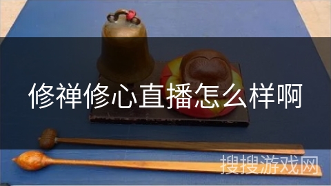 修禅修心直播怎么样啊