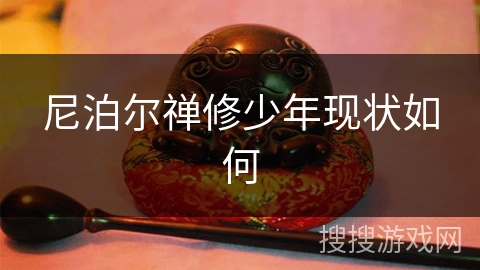 尼泊尔禅修少年现状如何 尼泊尔禅修少年现状如何