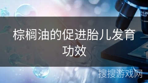 棕榈油的促进胎儿发育功效