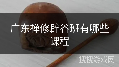 广东禅修辟谷班有哪些课程