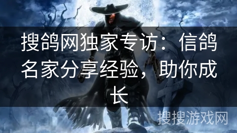 搜鸽网独家专访:信鸽名家分享经验,助你成长 搜鸽网独家专访:信鸽名家分享经验,助你成长