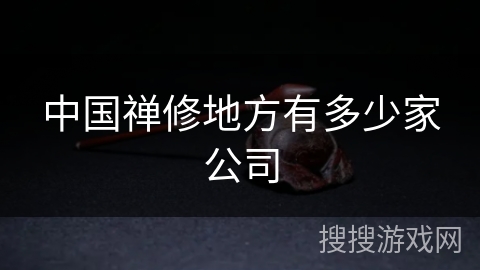 中国禅修地方有多少家公司