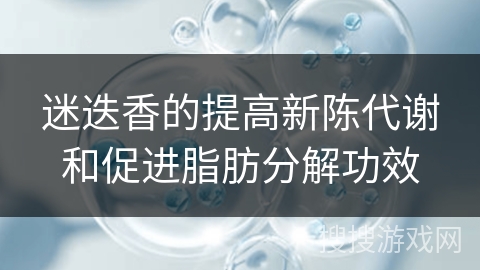 迷迭香的提高新陈代谢和促进脂肪分解功效