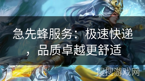 急先蜂服务：极速快递，品质卓越更舒适